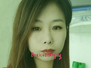 Bericezhangjing
