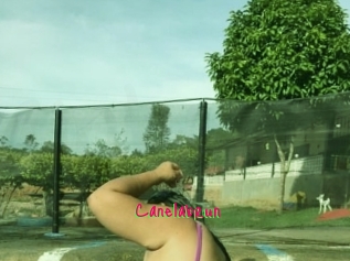 Canelabrun