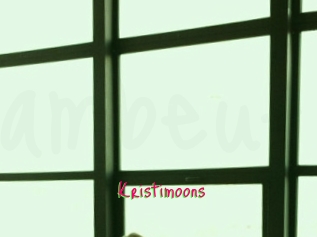 Kristimoons