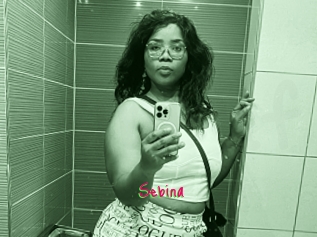 Sebina