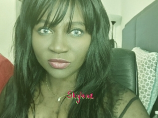 Skyleur